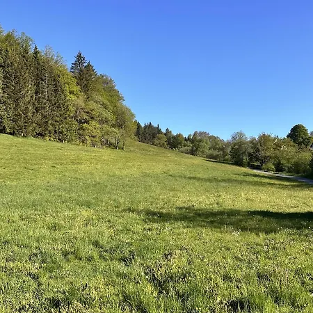 Smart B&b2 Bb2 312 *